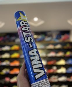 Cầu Vina Star 5 Sao